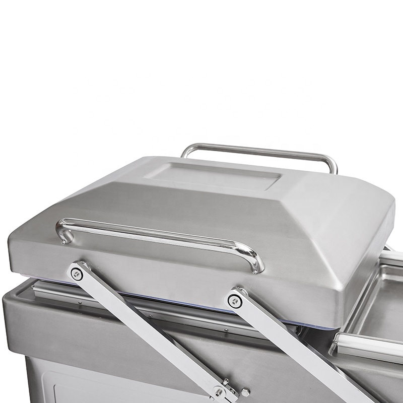 Dz-500_2sa Deep Type Double Ch - Food Vacuum Sealer review and price