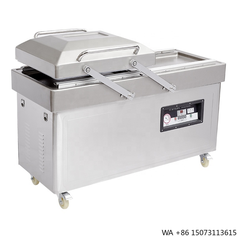 Fubei DZ-600/2SA Deep Type Dou - Food Vacuum Sealer review and price