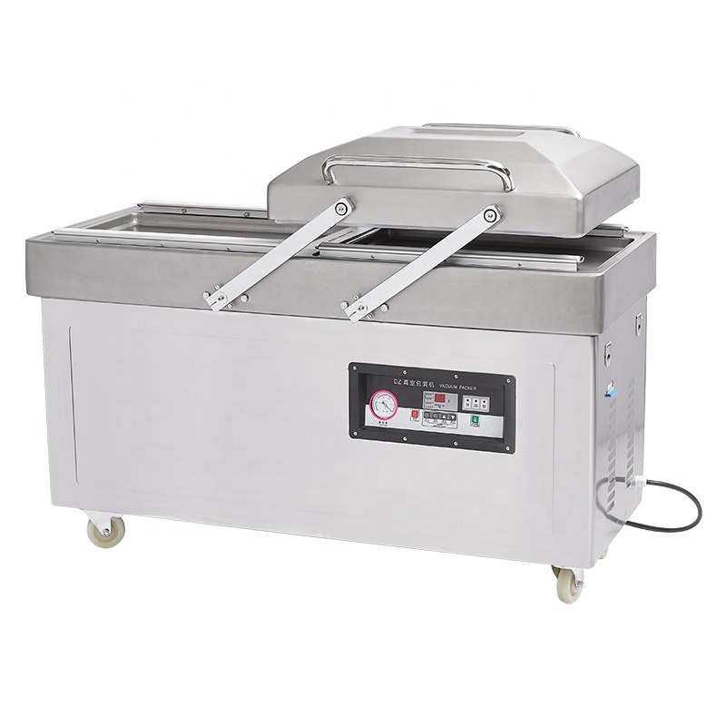 Fubei DZ-600/2SA Deep Type Dou - Food Vacuum Sealer review and price