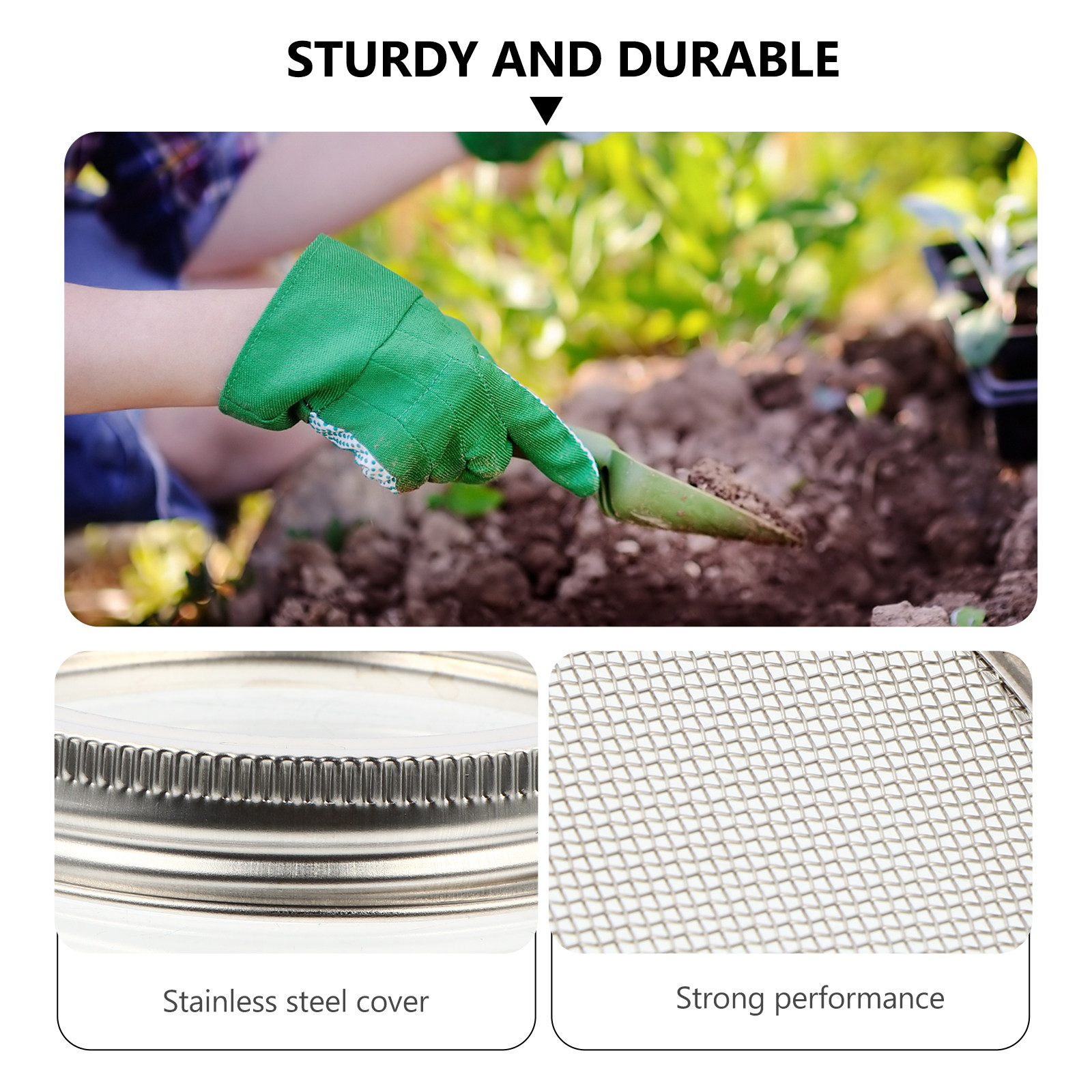3Pcs Stainless Steel Sprouting - Stainless Steel Strainer review and price